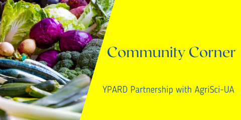 Cross-blogs-YPARD-Partnershi_20220621-072127_1