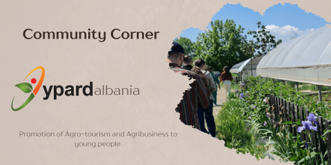 YPARD-Albania