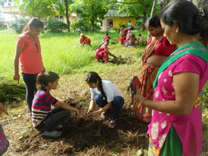 Tree Plantation Program