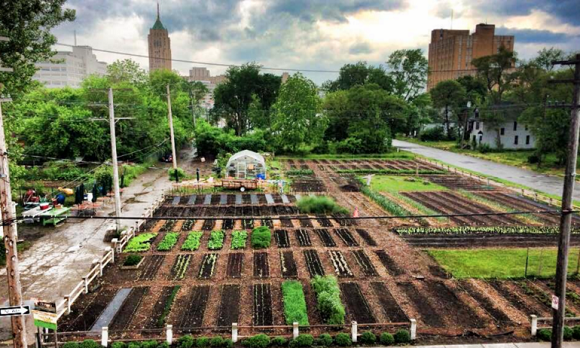 Promoting urban agriculture 