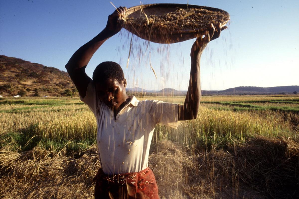 ©FAO/Alberto Conti / FAO