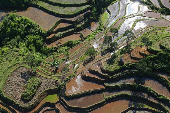 Photo by Kate Evans for Center for International Forestry Research (CIFOR).