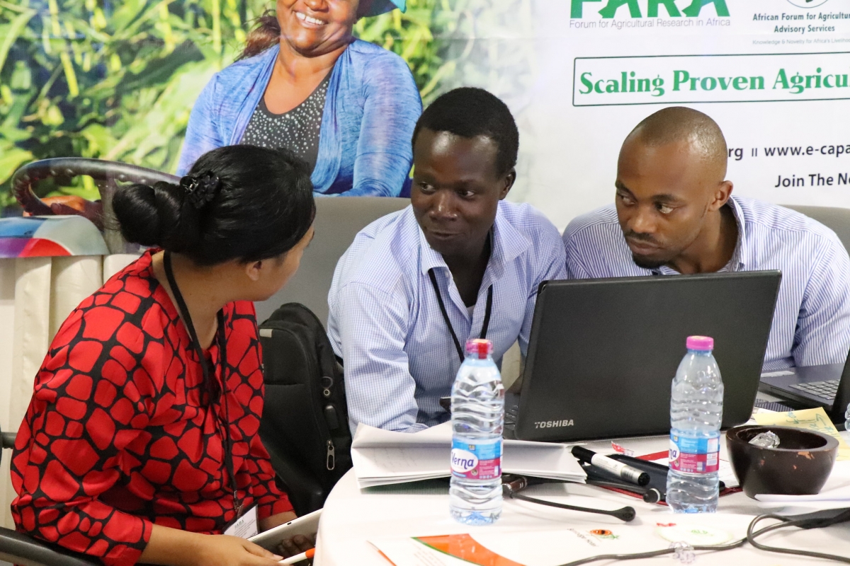 FARA's Continental Youth Workshop #AgriYouthEngagement