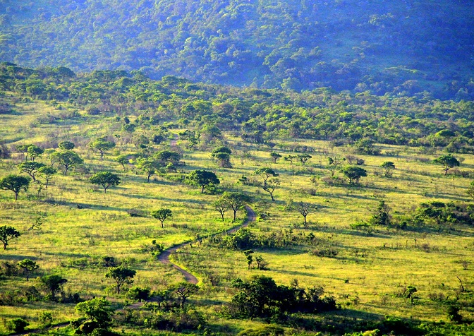 e-discussion on YOUTH	 and LAND POLICY IN AFRICA