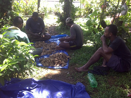 Andrew's Young Professionals team at work - Fiji Island