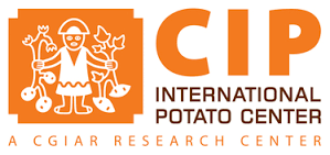 CIP Logo