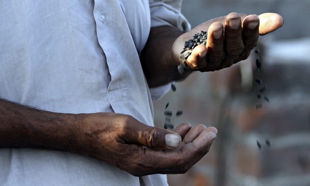 The issue of feeding the world is on par with global macroeconomics and geopolitics. Photograph: Raminder Pal Singh/EPA