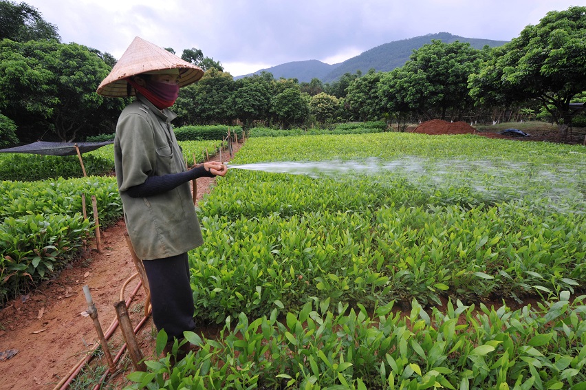 FAO-Hoang Dinh Nam