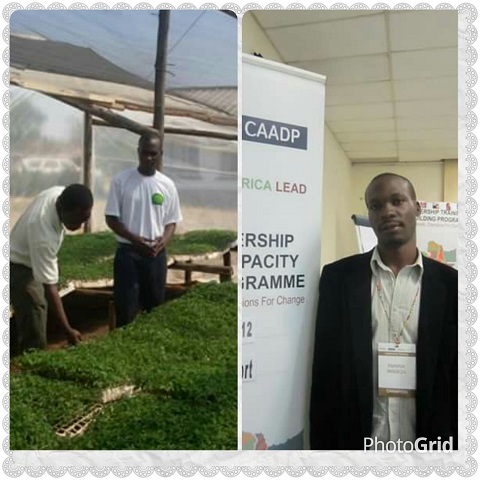 Farirai at the CAADP event