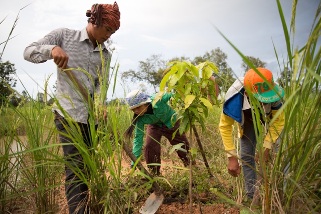 Growing A Future: The Green Shoots Foundation Works to Empower Cambodian Youth through Agriculture