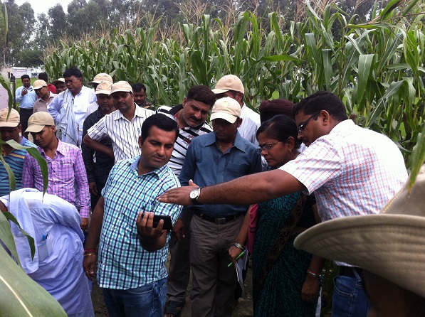 Vikas in the field