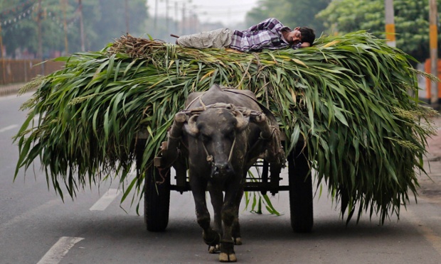 How to end hunger: lessons from the father of Indias green revolution