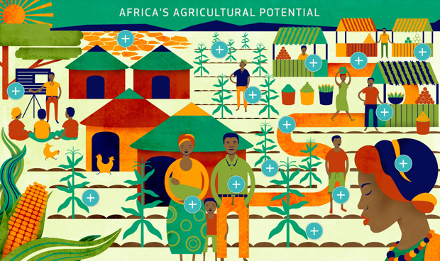 IFAD and Farming First new Infographic - African Agriculture