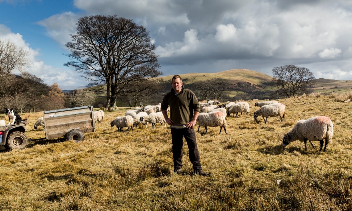 James Rebanks, Twitters favourite shepherd: Sheep farming is another form of culture, just like Picasso or punk