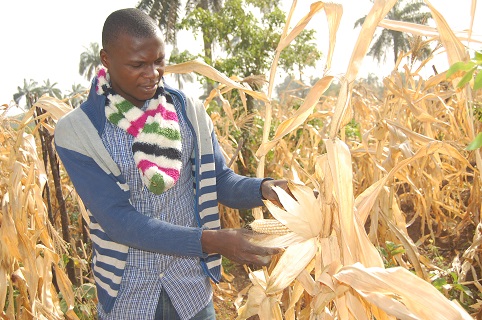 John Agboola, Nigeria, in the field