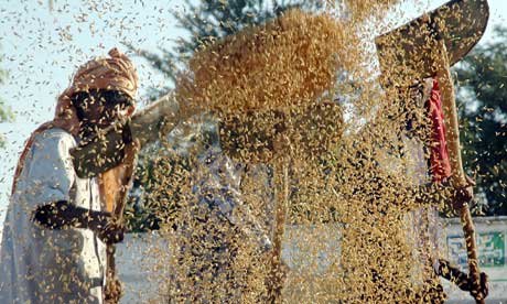  Narinder Nanu/AFP/Getty Images