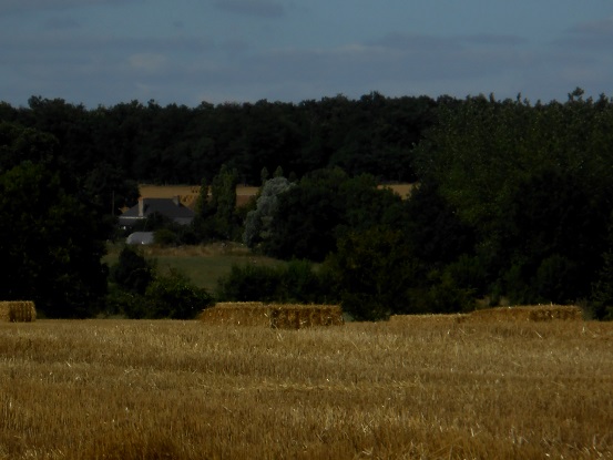 Quiet Country side - an Eden