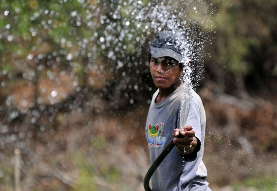 Young Farmer in Nicaragua - Neil Palmer CIAT