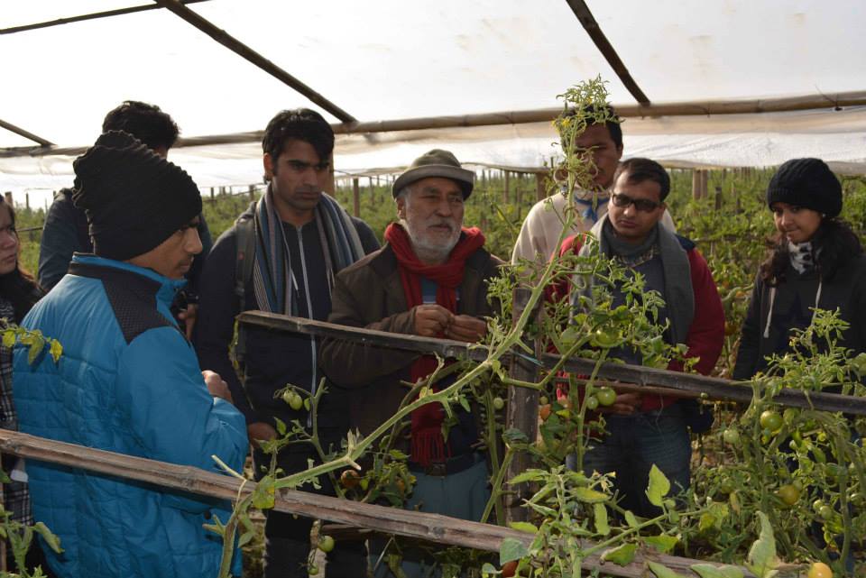 field excursion to Dr. Kedar Budhatholis Dahachowk plastic tunnel house