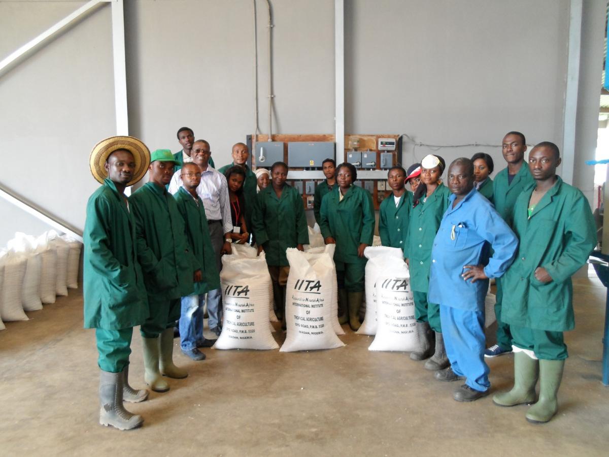 IITA Young Agripreneurs at the processing unit