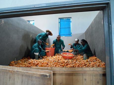 IITA young agropreneurs