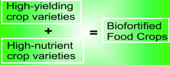 biofortification