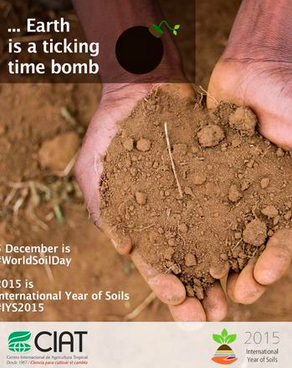 #IYS2015 Twitter Chat Summary  Healthy Soils for a Healthy Life