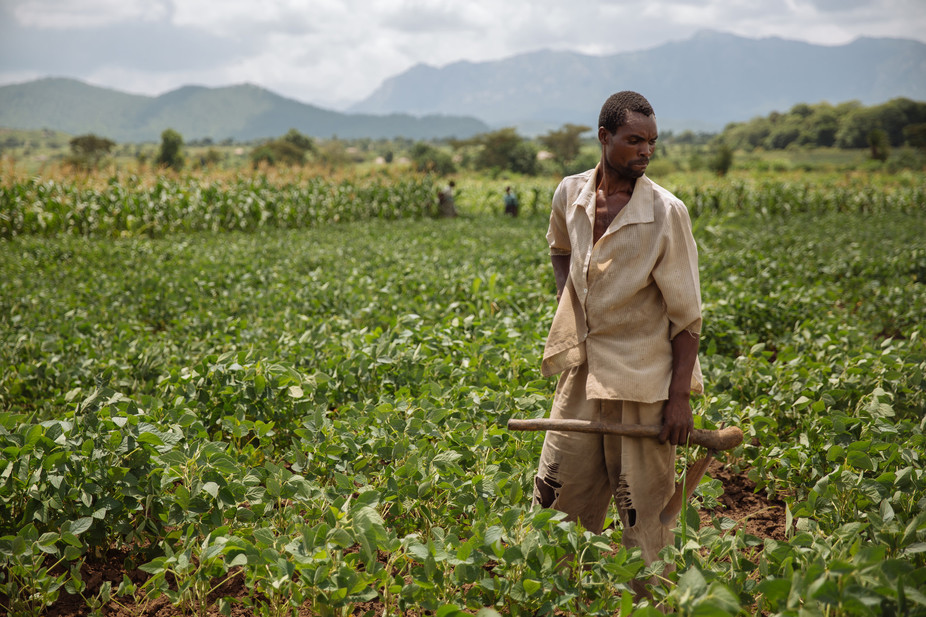 small holder farmer in his farm