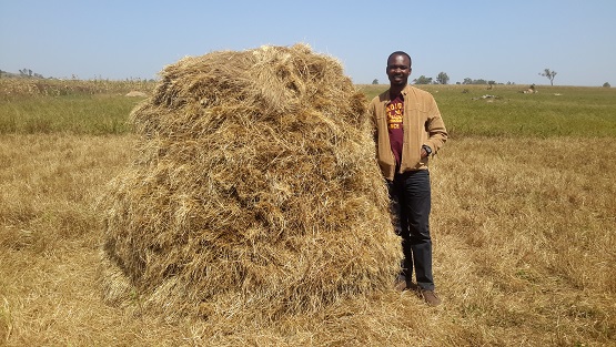 Oni, Nigeria, in the field