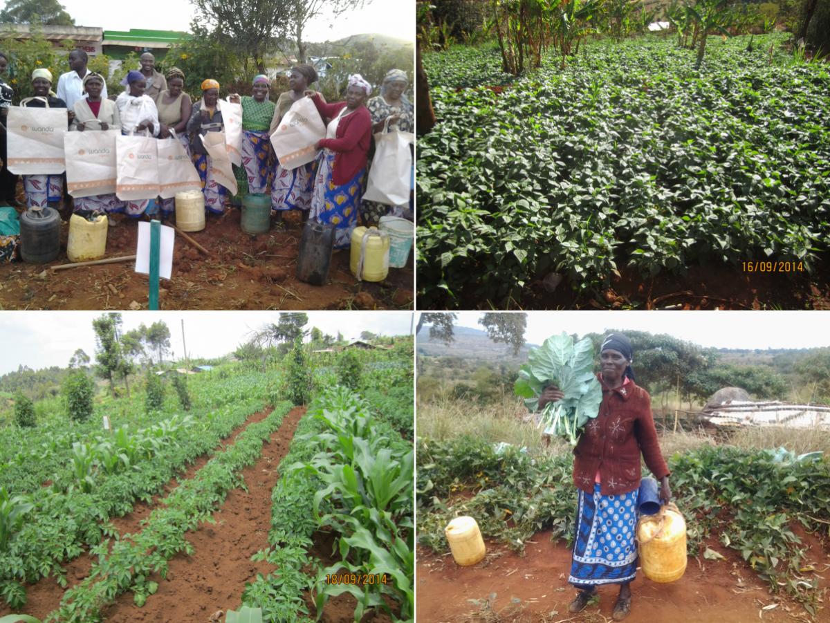 Young farmers in Kenya