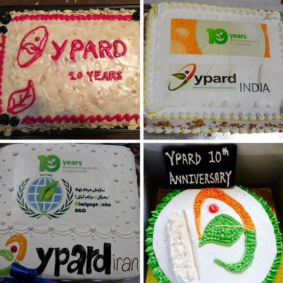 YPARD10years cakes