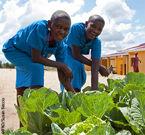 CFS 42 Youth for Food Security and Nutrition (Y4FSN) Idea Incubator