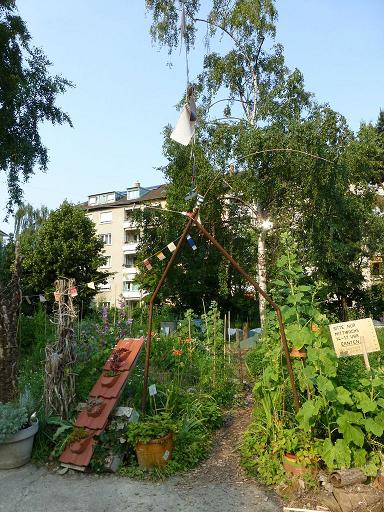 Urban farming