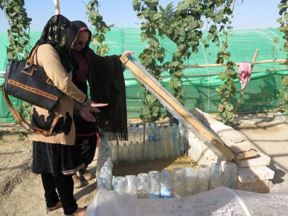 The Afghan Women in Balkh. One of the programs Taryn is working on