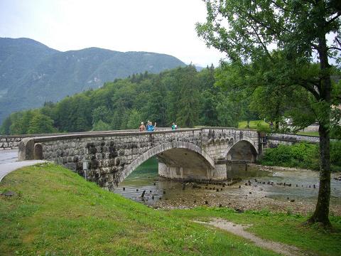 Find your bridge, Take the way, Build your career...