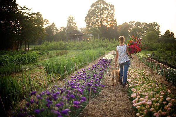 The women behind the farms