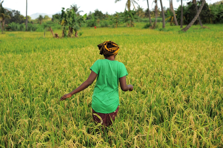 Talent Development in Agriculture Growing ambitions for agricultural professionals