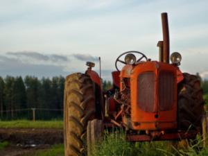 Food shortages, South Africa, Farming , loom