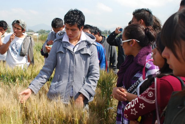 Getting youths interested in and knowledgeable about farming, while helping them seeing the value of it, will be of great importance for our future food security. 