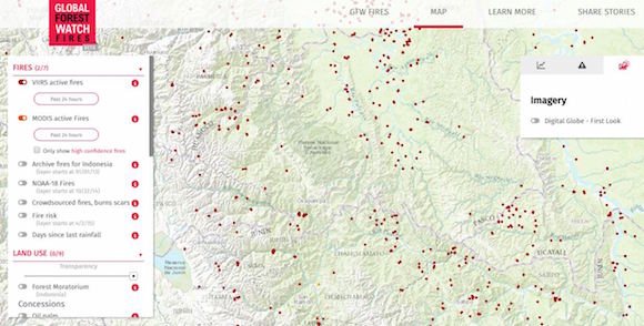 Map from the global Forests Watch