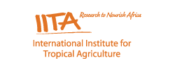 IITA Logo