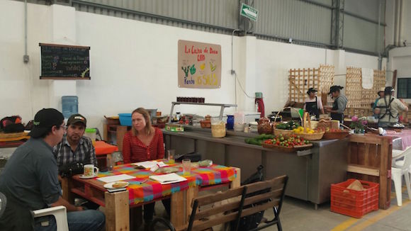 interviews with farmers in the local market