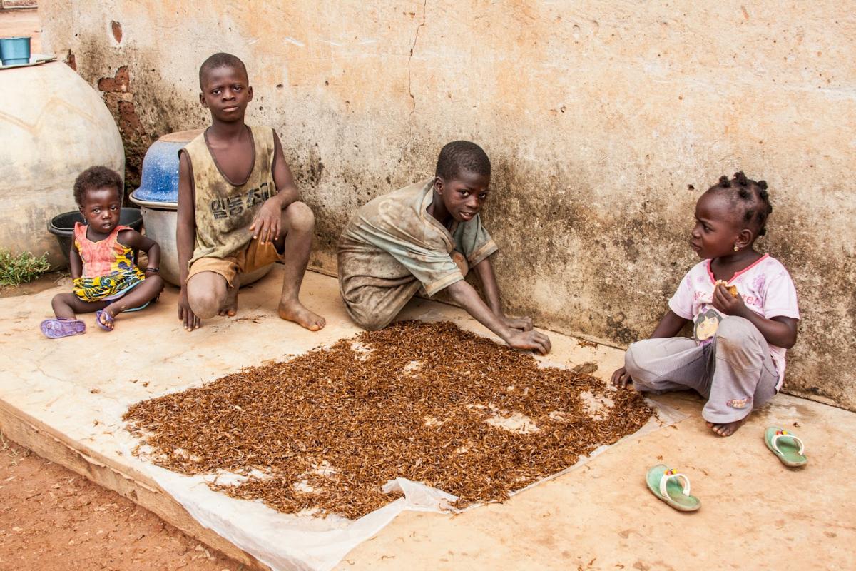 The children in an ex-combatants community in Ferkessédougou, Côte dIvoire.  © IFAD/Mariajose Silva Vargas