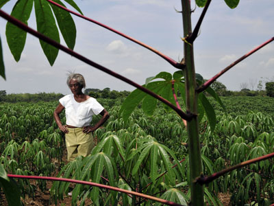 A woman on a cassava farm at Cauca, Colombia. Clear and defined property rights empower farmers to make better economic decisions with their land, avoid land conflicts or illegal land grabs, and enable them to look into long-term resource management and sustainability practices.