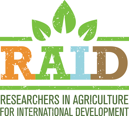 RAID Logo