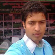 Madhu Sudhan Ghimire