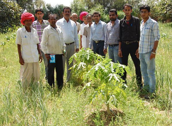 Are we really contributing to Agricultural Development? - India