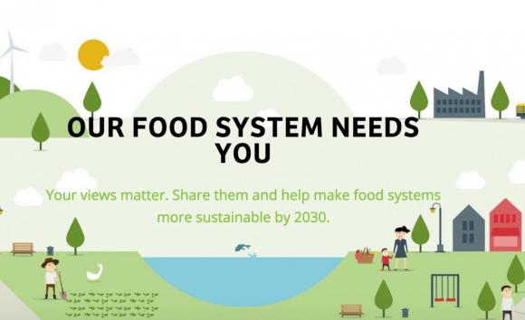 MyFood30 launched a 50 day campaign to hear young peoples views on the future of agri-food systems