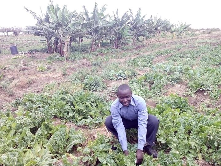 Julius on the Nasco Farm Fresh