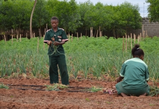 NEPAD, FAO, CAADP Plateform